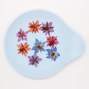 60pcs Apăsat Uscate de Flori de limba-Mielului Planta Ierbar Pentru Unghii Față Bijuterii Caz Marcaj Invatation Card DIY Face