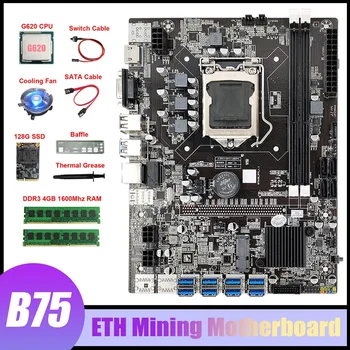 B75 ETH Miniere Placa de baza 8XUSB+CPU G620+2XDDR3 4GB RAM+SSD 128G+Ventilator+Cablu SATA+Șicane B75 Miner Placa de baza