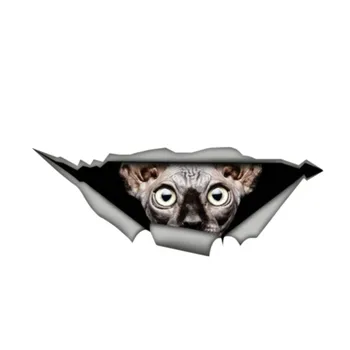 Fuzhen Boutique Decalcomanii Exterior Accesorii Pisica Sphynx Autocolant animale de Companie 3D Grafic de Vinil Decal Geamul Mașinii Bara Laptop Autocolante