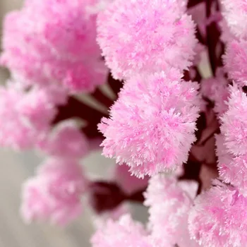 Recent Magie în Creștere Hârtie Copac Sakura Cristal Copaci Desktop Cherry Blossom Jucării CLA88